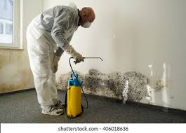 Best Industrial Mold Remediation  in Fairview, OR